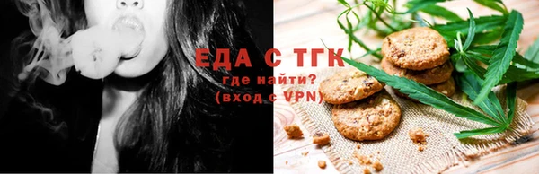 прущие грибы Абаза