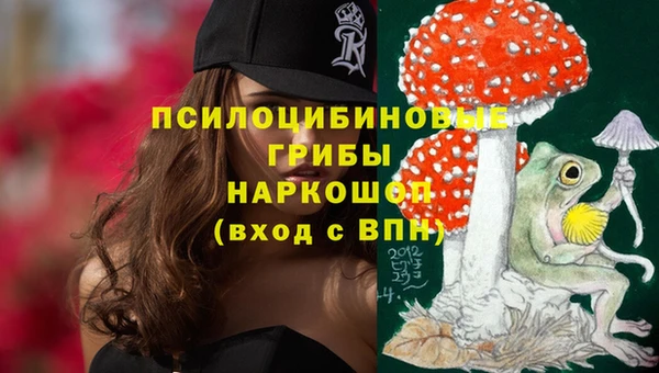 прущие грибы Абаза