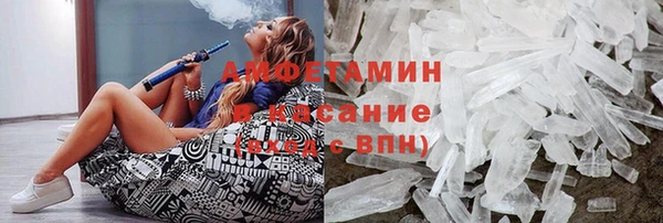 прущие грибы Абаза