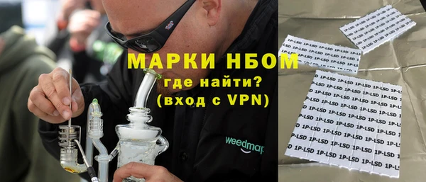 прущие грибы Абаза