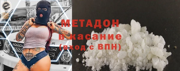 прущие грибы Абаза