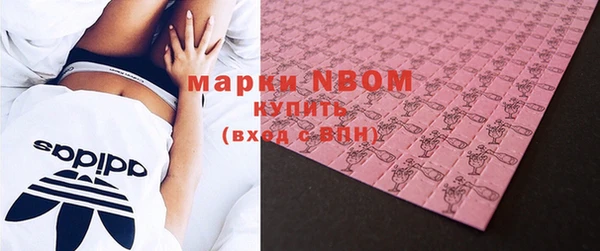прущие грибы Абаза